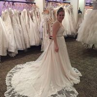 New Year, New Member (Introduction Post)