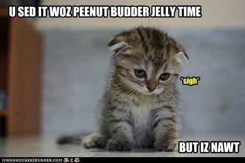 LOL pets!!! Cats and Dogs welcome!