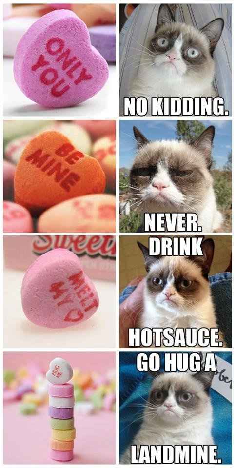 NWR- Happy Valentine's Day - Grumpy Cat Style
