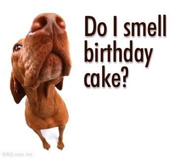 LOL pets!!! Cats and Dogs welcome!