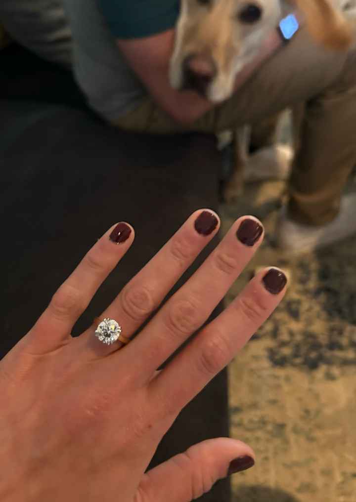 2024 Brides - Show us your ring! - 1