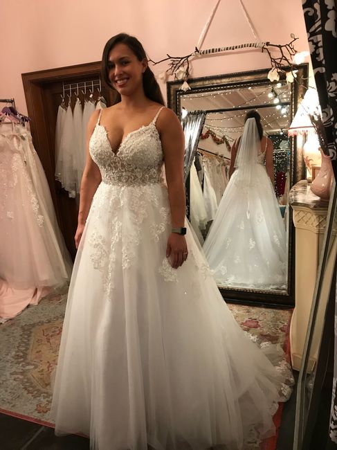 Wedding Dress Budget 18