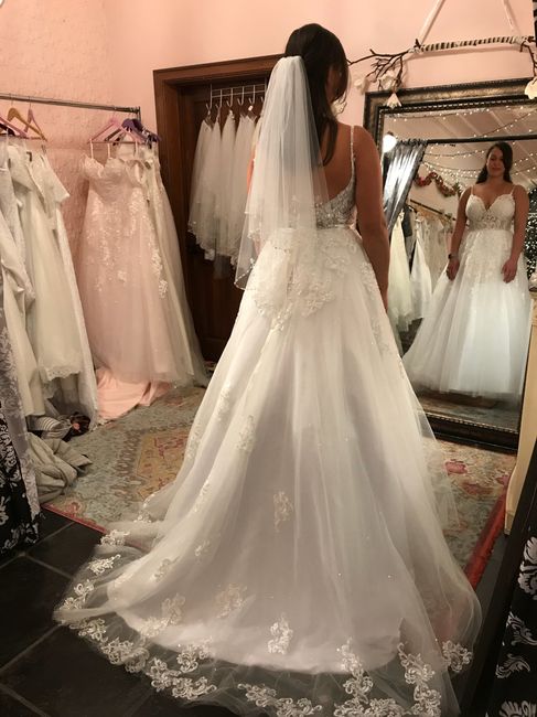 Wedding Dress Budget 19