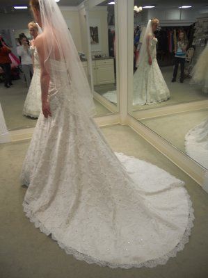 ordered my dress (pics)