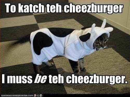 Because we could use a laugh today ...