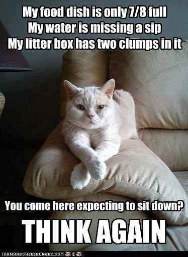 Because we could use a laugh today ...