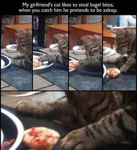 Because we could use a laugh today ...