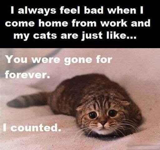 Because we could use a laugh today ...
