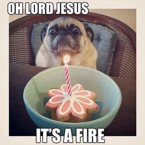 Because we could use a laugh today ...