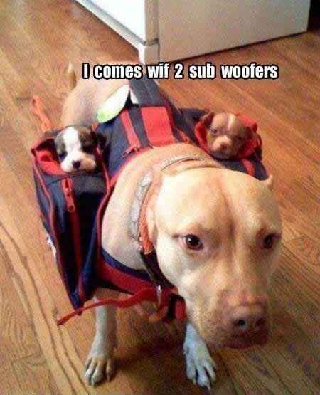 Because we could use a laugh today ...