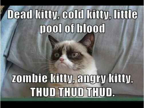 Because we could use a laugh today ...