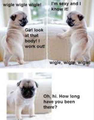 Because we could use a laugh today ...