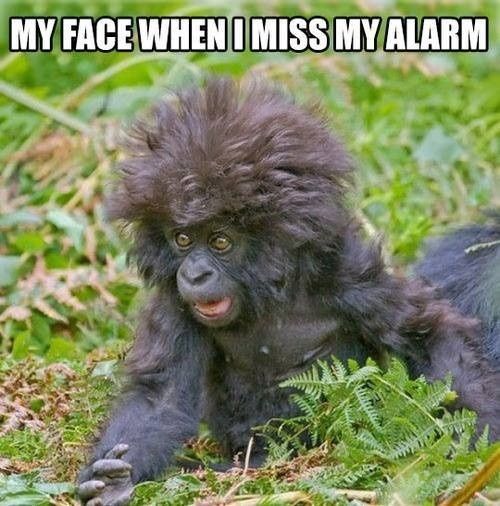 Because we could use a laugh today ...