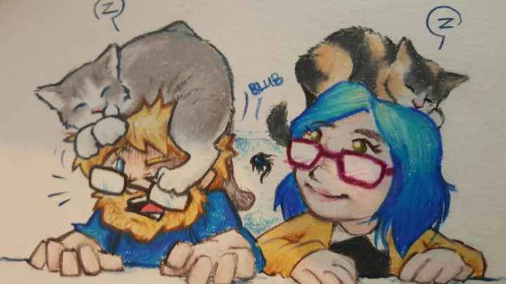 Show my your kitties!