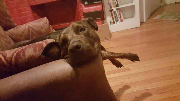 Cutest Thing You'll See All Day