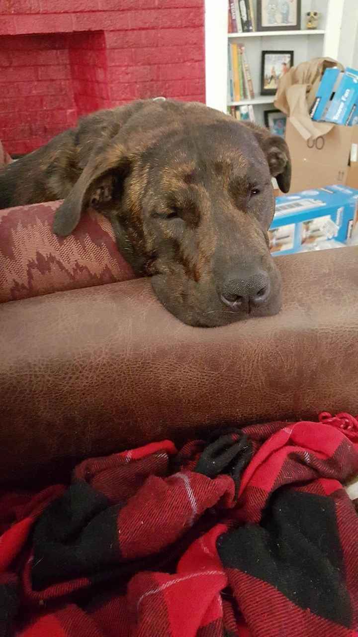 Cutest Thing You'll See All Day