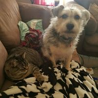 Let me see those fur babies!