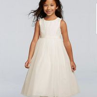 Junior Bridesmaid or Flower Girl?