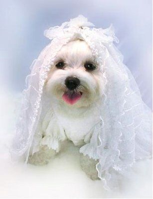 Best dress EVA!