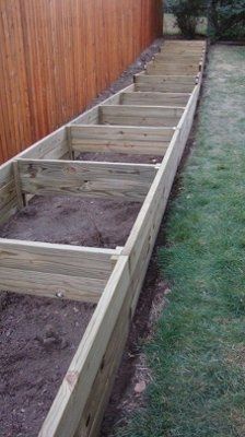 What are your projects after the wedding?