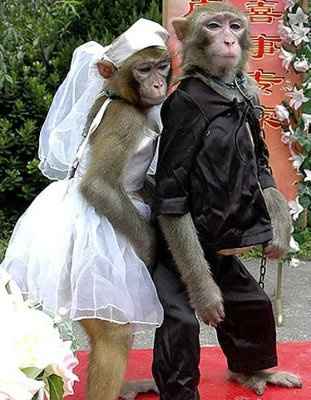 Best dress EVA!