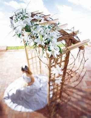 I think I picked my colors!