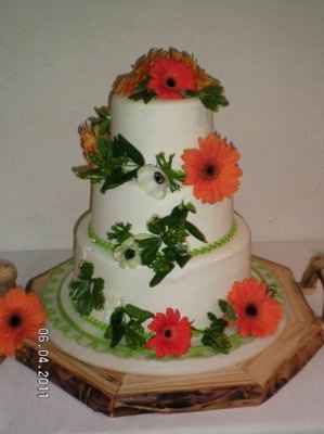 Back and Married!  PICS!