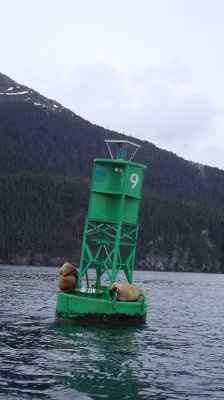 the honeymoon to Alaska was a blast!