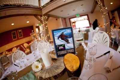 Professional Wedding photos are in!  (PIC HEAVY!)