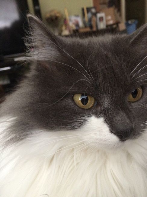 Fur baby friday!