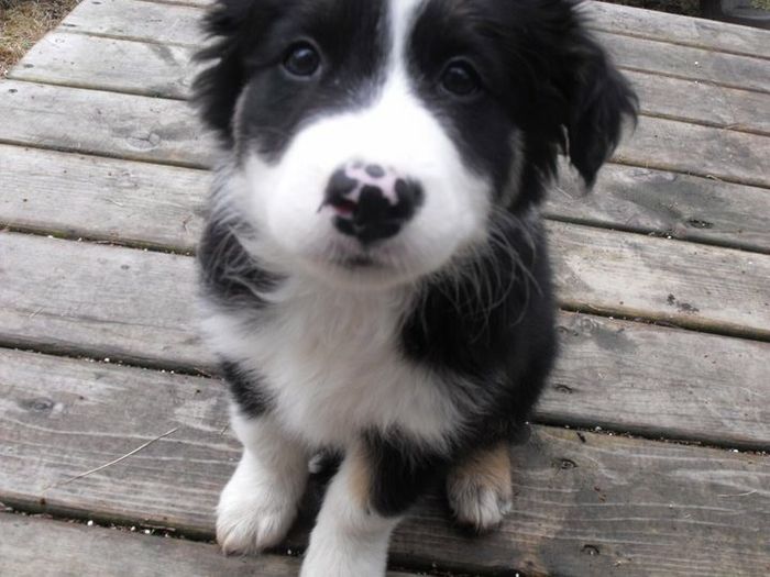 Dear Remi and Killian: