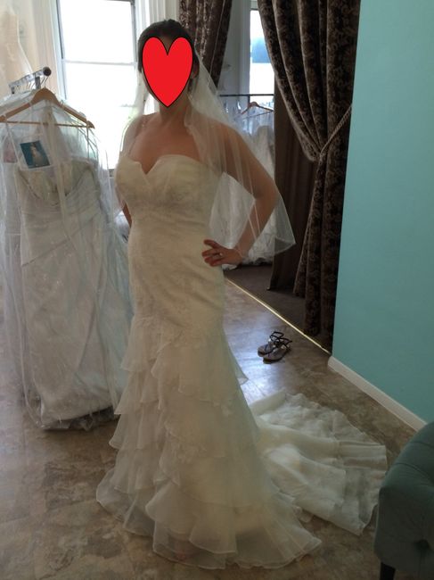 What kind of veil for this dress???