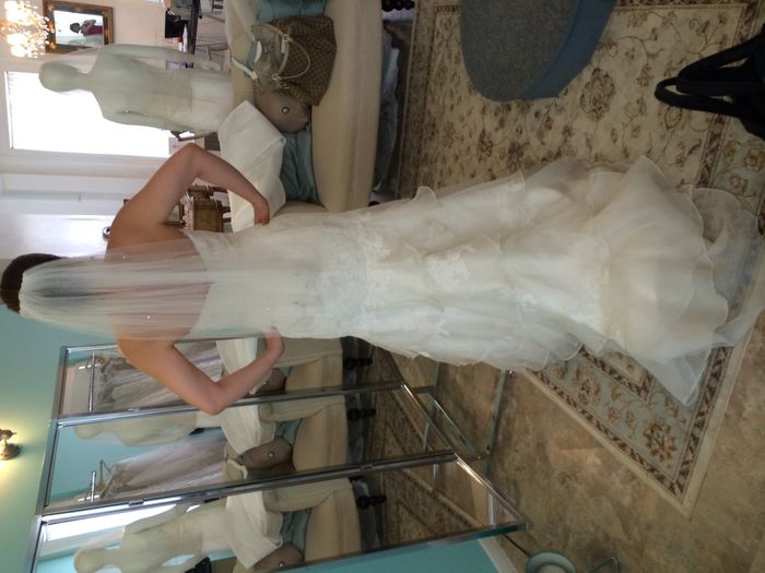 What kind of veil for this dress???