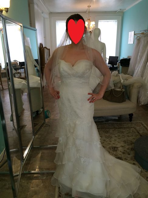What kind of veil for this dress???