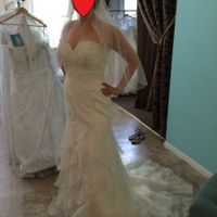What kind of veil for this dress???