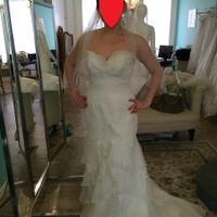 What kind of veil for this dress???