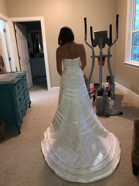 Borrowed wedding dress, is it still in style? 2
