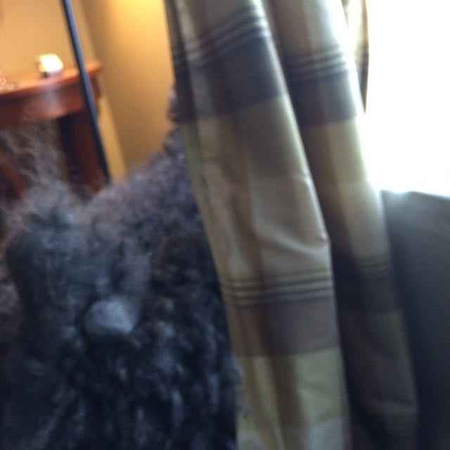 fh moves in today and I'm excite.