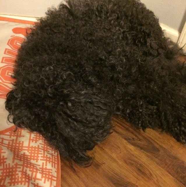 Whose helping you WW!?!