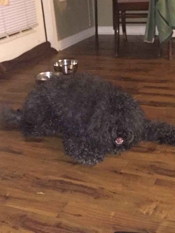 KWR? Last text you sent your FH/FW