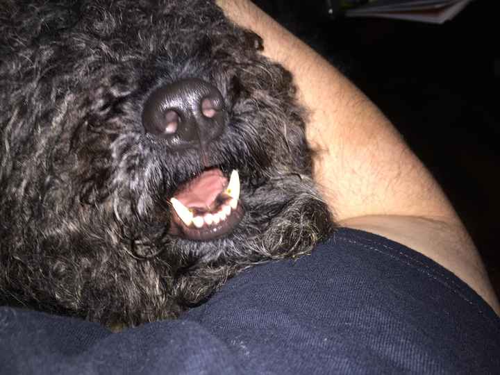 NWR: post pics of your pets!!