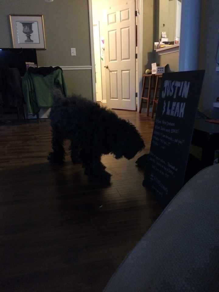 lookie what happens when you buy silver sharpie and black poster board