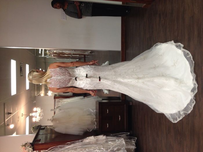 I finally took the plunge...Here is my Dress! Would you post yours?