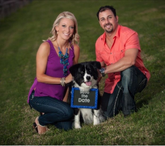 Pets in the STDs