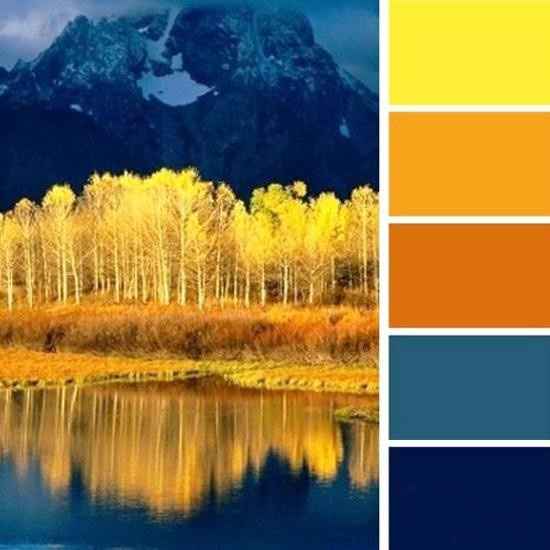 Color Scheme Confusion questions