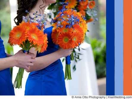 Color Scheme Confusion questions