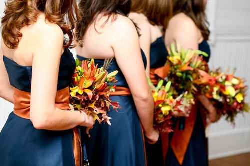 Color Scheme Confusion questions