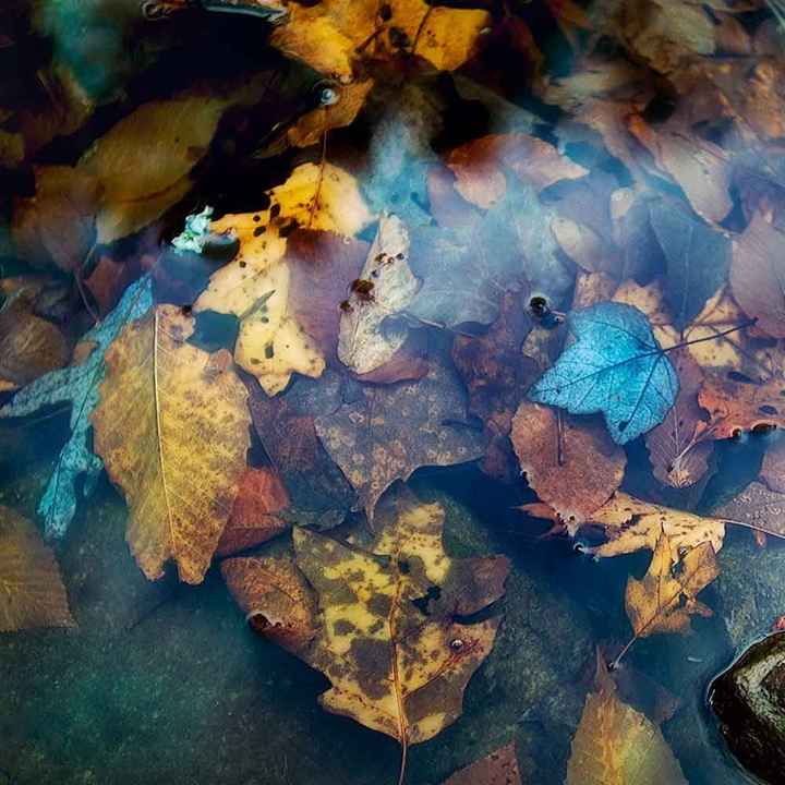 Color Scheme Confusion questions