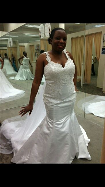 The Dress Is in