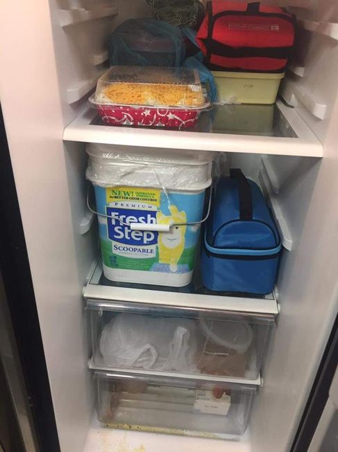 Why do people do this???